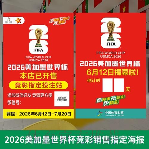 解读世界杯投注热潮与趋势